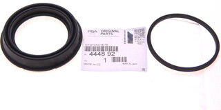 Mopar (PSA / FCA) 444892