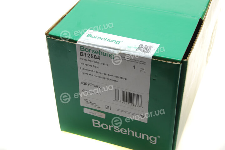 Borsehung B12564