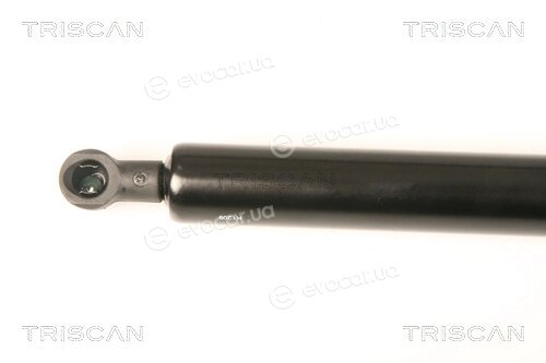 Triscan 8710 28238