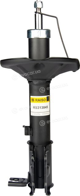 Raiso RS313845