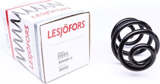 Lesjofors 4208412