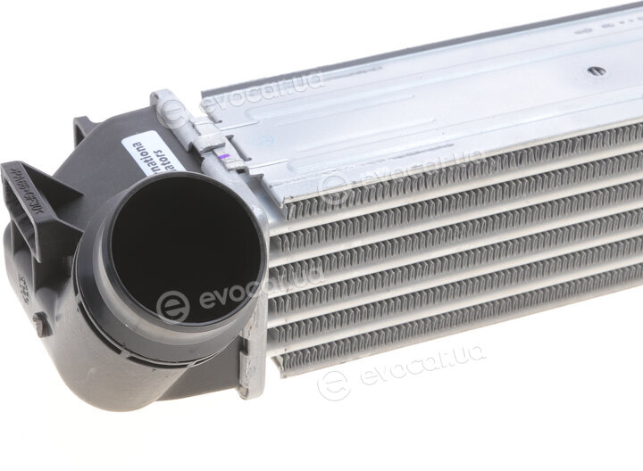 Van Wezel 43004461