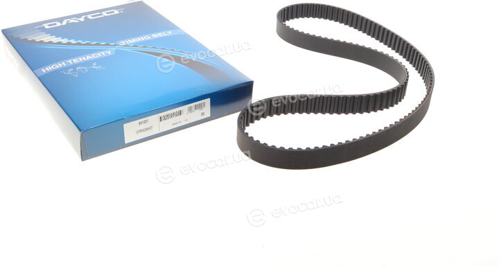 Dayco 941001