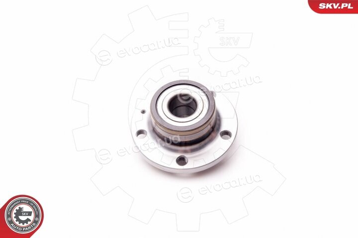 SKV 29SKV006