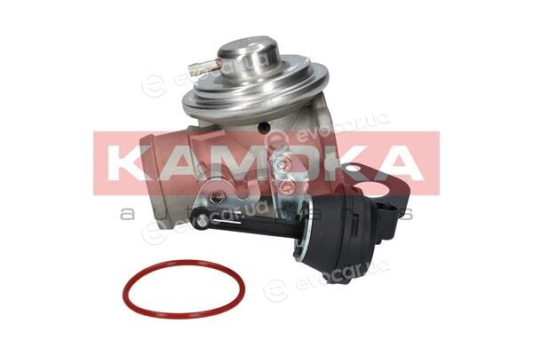 Kamoka 19025