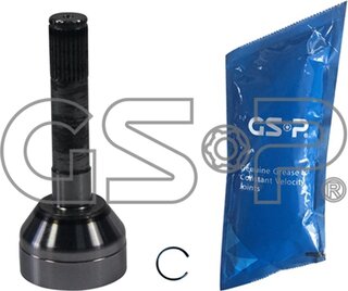 GSP 857019