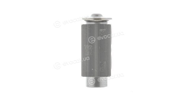Mahle AVE 68 000P