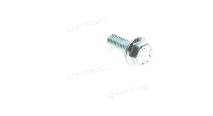 Solgy 203089