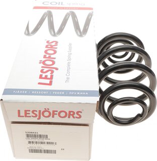 Lesjofors 5208431