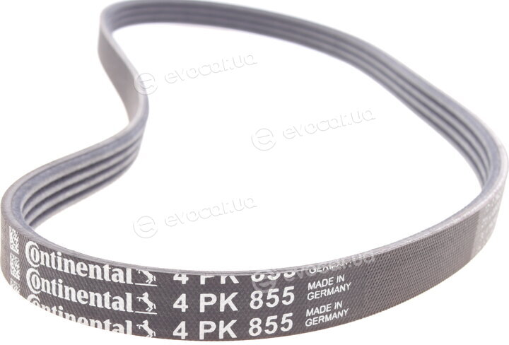 Continental 4PK855K1