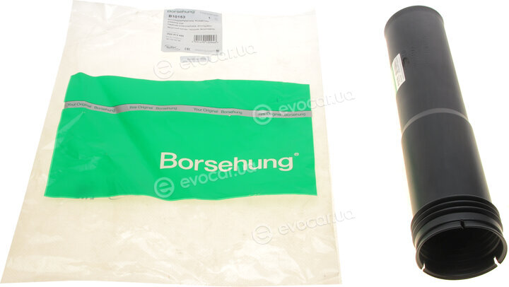 Borsehung B10153
