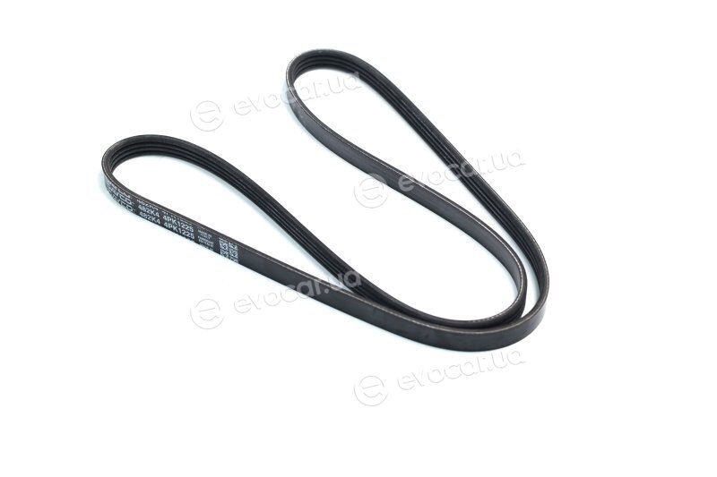 Dayco 4PK1225