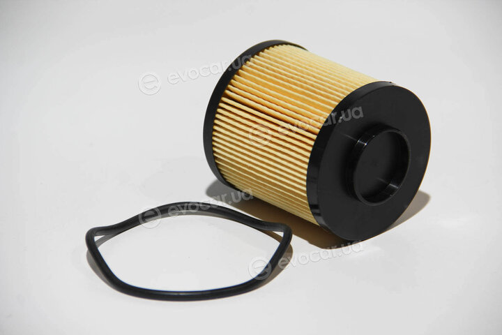 Mahle OX 779D