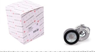 Hutchinson T0571