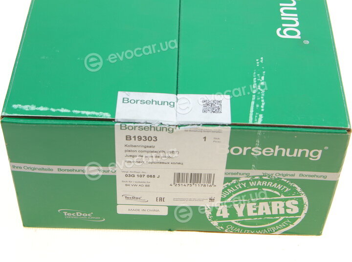 Borsehung B19303