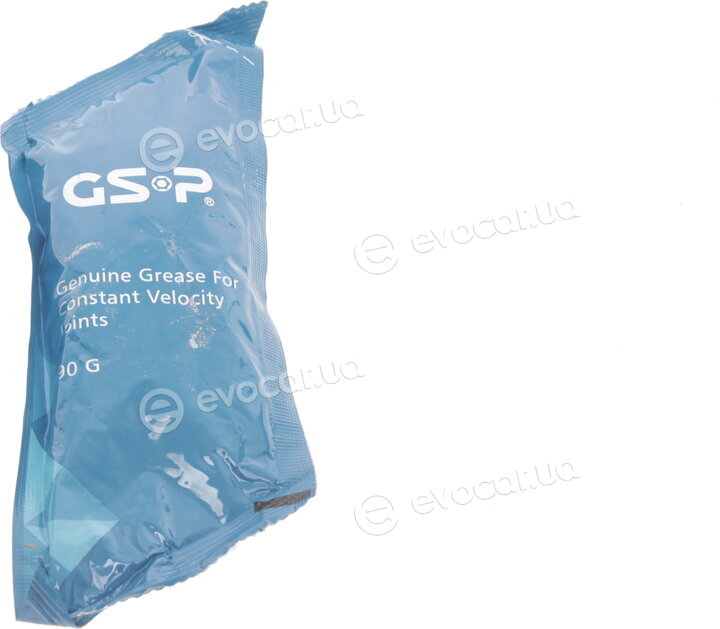 GSP 839018
