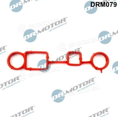 Dr. Motor DRM079