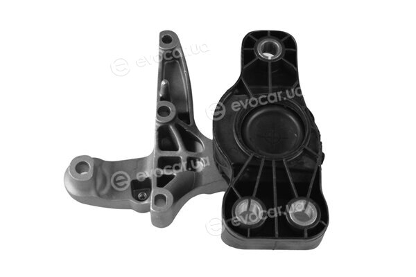 Tedgum TED50849