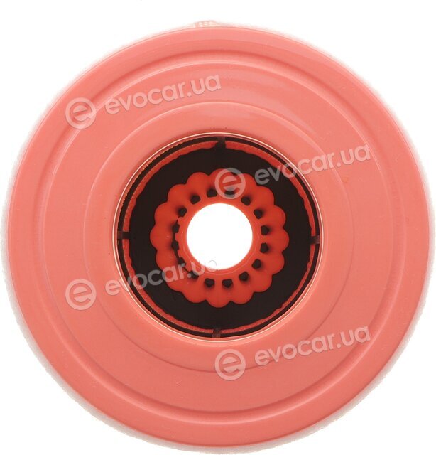 Solgy 103171