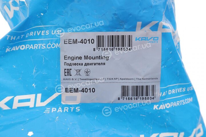 Kavo EEM-4010