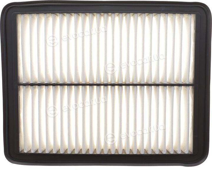Solgy 103180