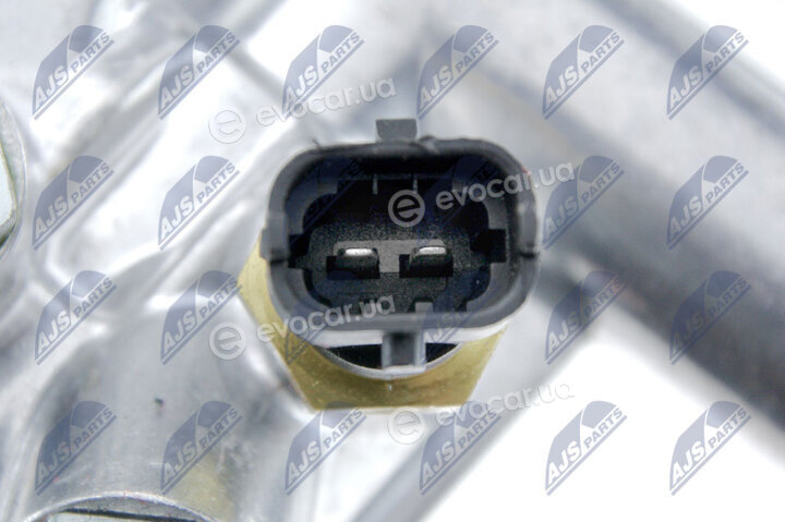 NTY CTM-CH-020
