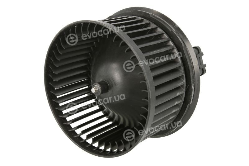 Mahle AB 238 000P