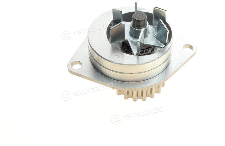 Continental CT1065WP2