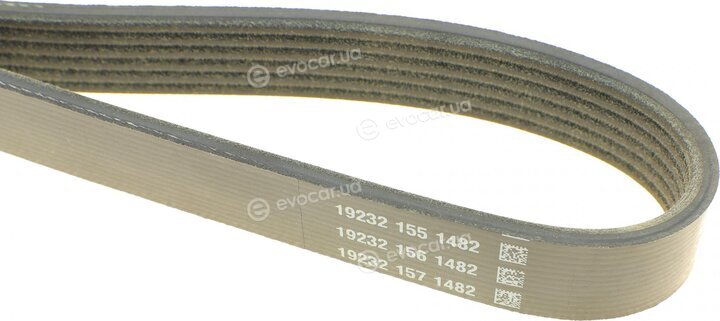 Dayco 6PK1024EE