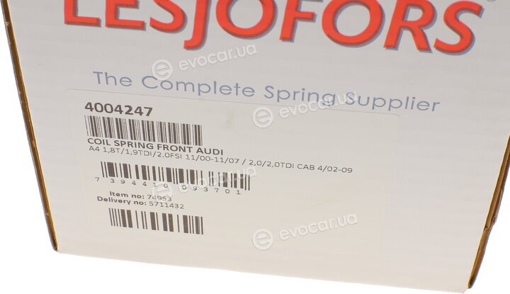Lesjofors 4004247