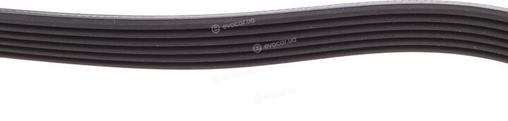 Continental 6PK923
