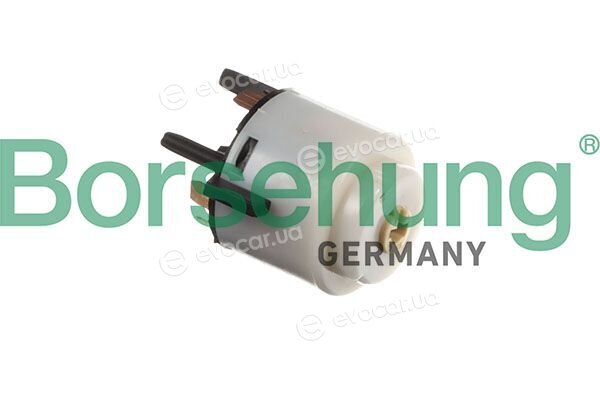 Borsehung B13190