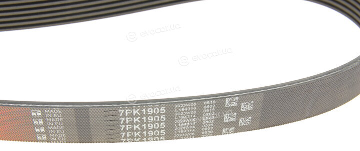 Gates 7PK1905