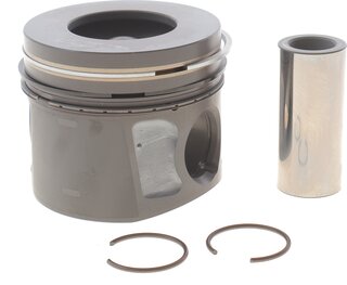 Mahle 013 PI 00136 002