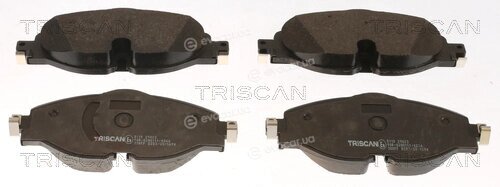 Triscan 8110 29023