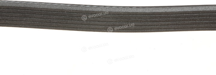 Gates 6PK970XS