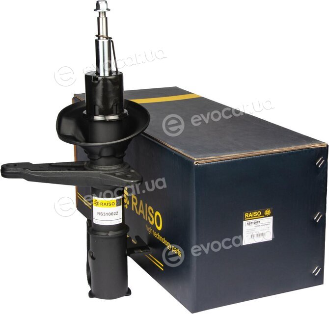 Raiso RS310022