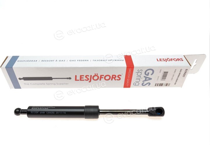 Lesjofors 8195027