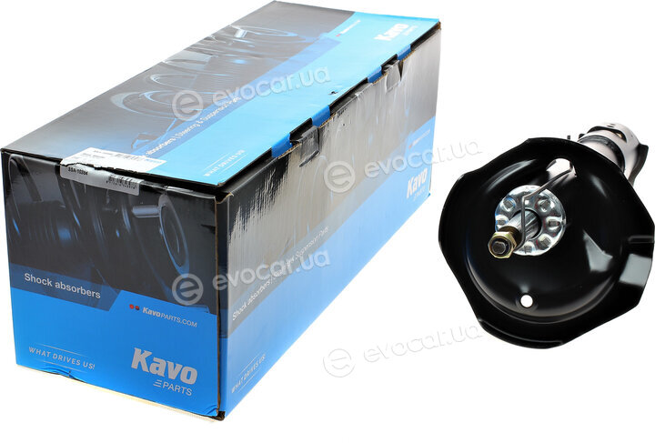 Kavo SSA-10384