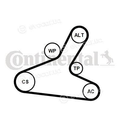 Continental 7PK1165K1