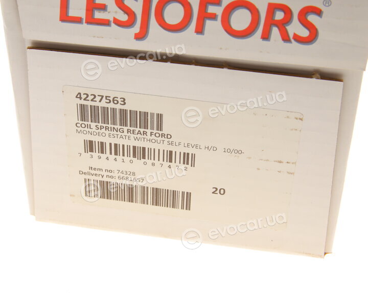 Lesjofors 4227563