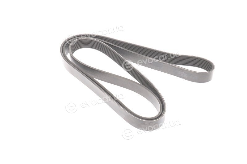 Dayco 8PK2032HD