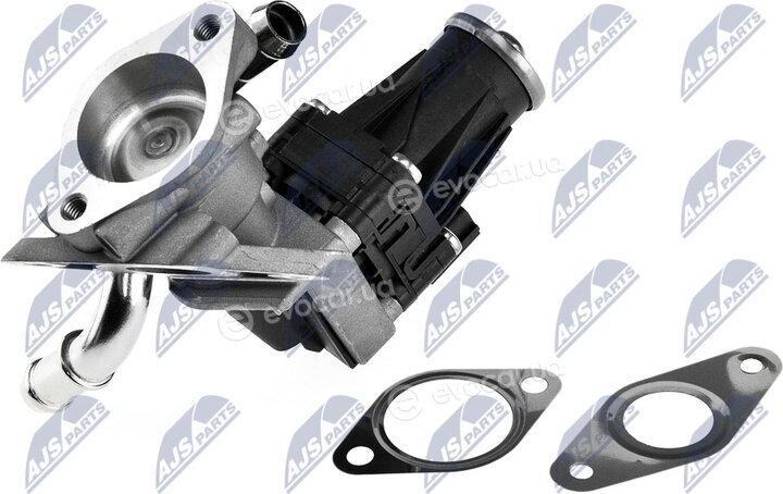 NTY EGR-FR-006