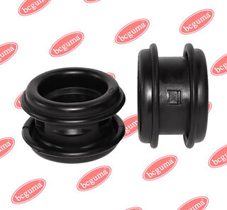 BC Guma 0611