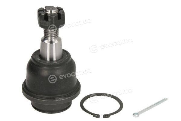 Reinhoch RH03-4025
