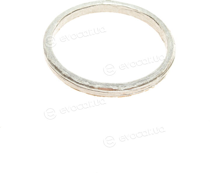 Elring 036.980