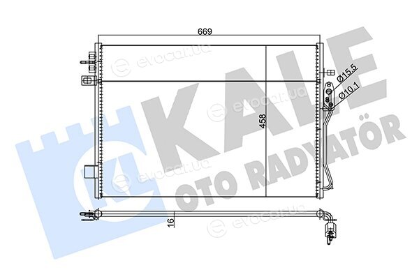 Kale 345685