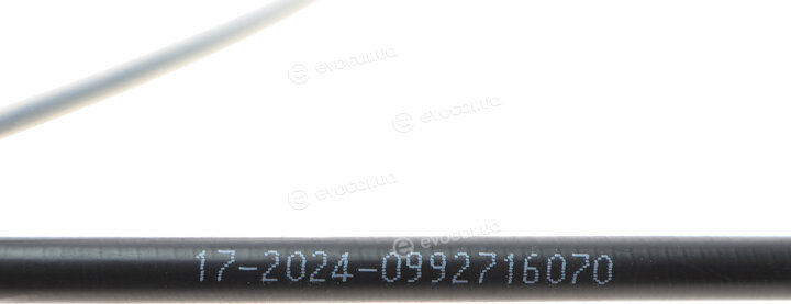 Solgy 219015