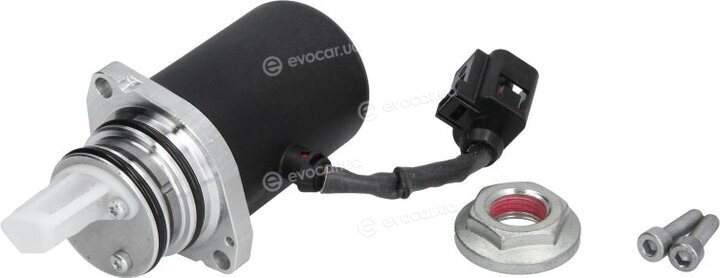 BorgWarner DS118611