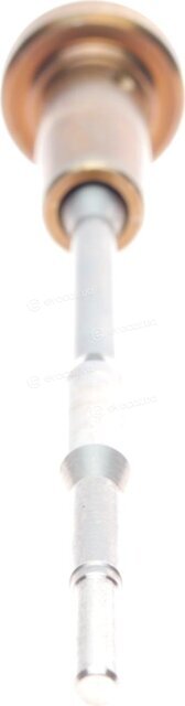 Bosch F 00V C01 303